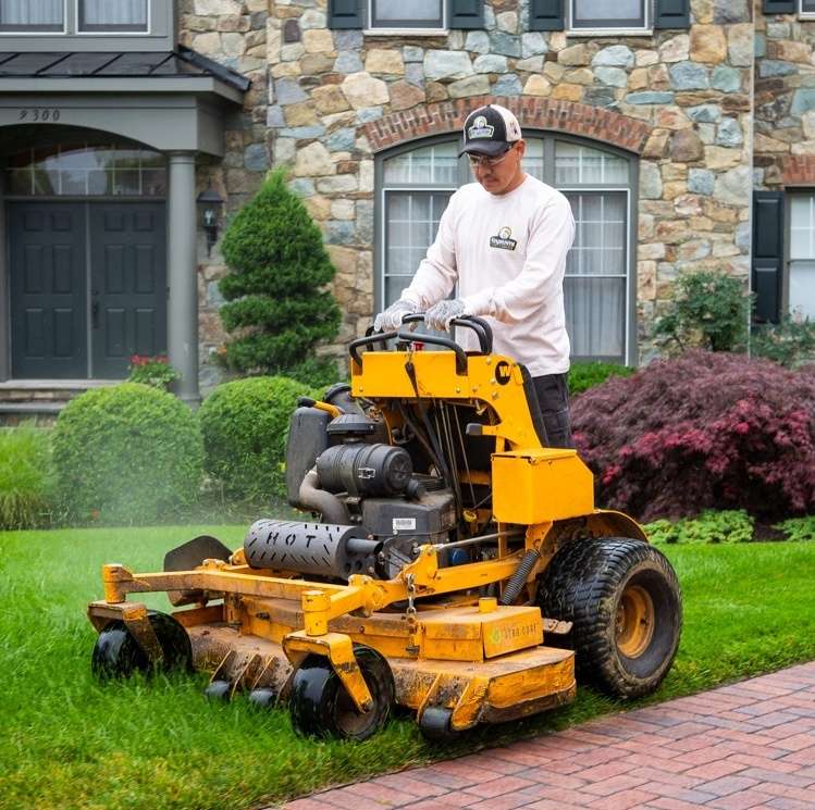 The 4 Best Landscaping Companies in Alexandria, Arlington, and